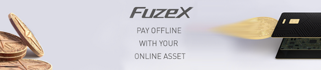 Screenshot_2018-08-10 FuzeX Card and FXT Token.png