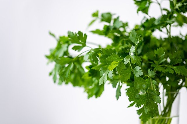 parsley-4688651_640.jpg