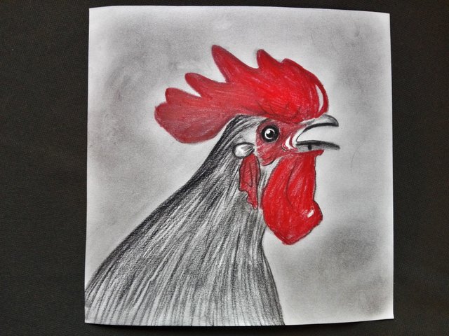 rooster(250).jpg