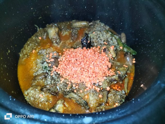 IMG20250309104238.jpg