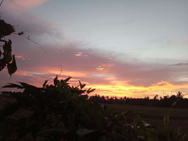 IMG20250430184314.jpg