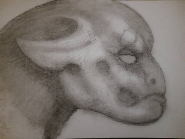 20250702_104548.jpg