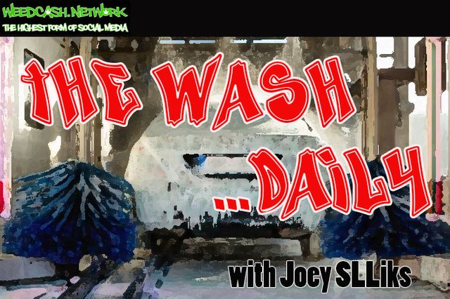 thewashdailylogo.jpg