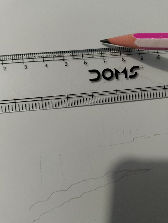 1000053576.jpg