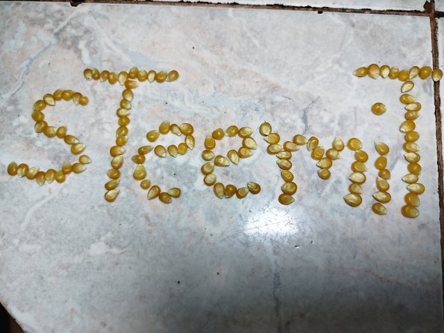 1000392326.jpg