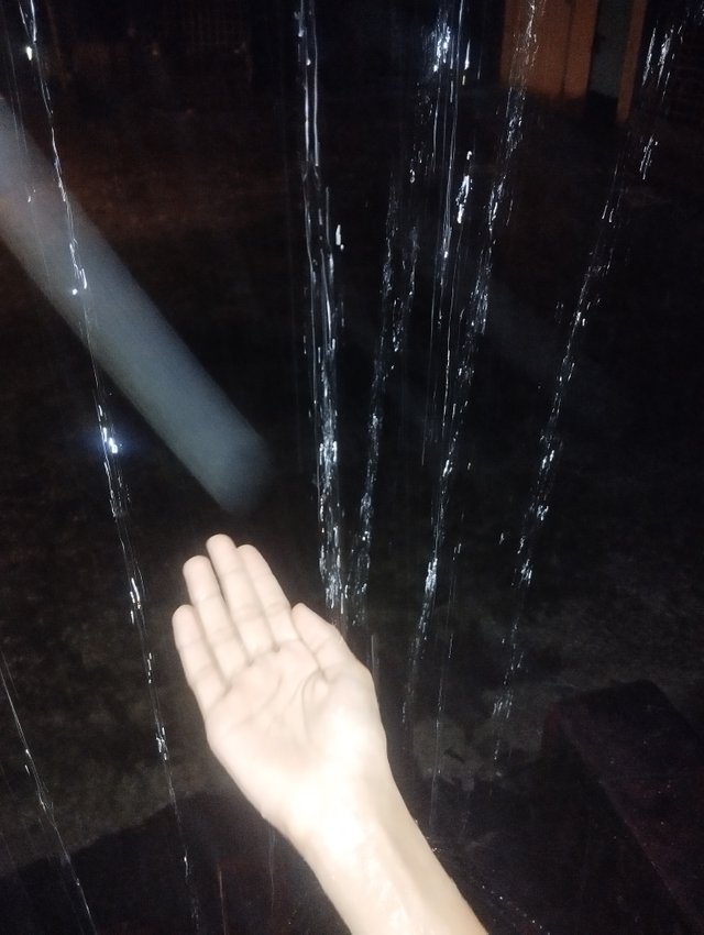 1000028370.jpg