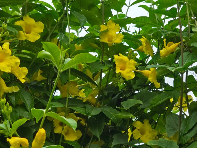 20240702_093353.jpg