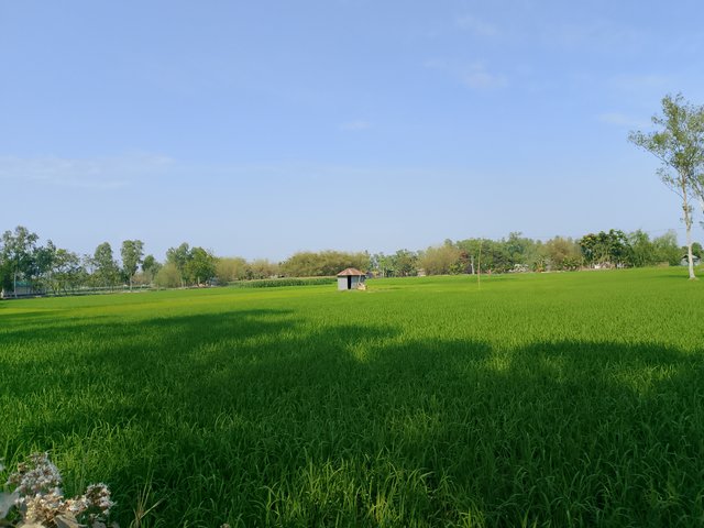 1000032740.jpg