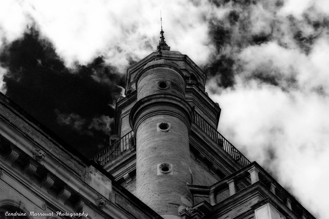 Up there black&white scaled.jpg