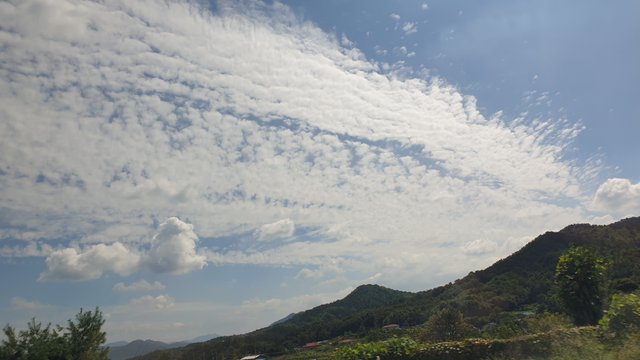 20230910_132933.jpg