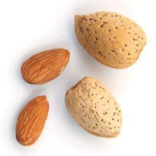 6-nuts.JPG