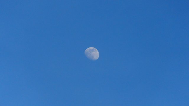 DSC02169.JPG
