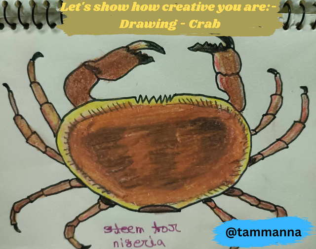 Let's show how creative you are- Drawing - Crab.png