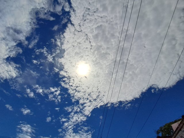 20250527_132749.jpg