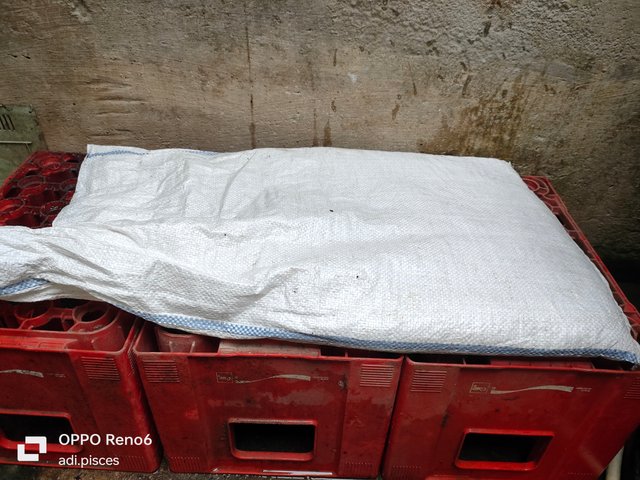 IMG20250620181238.jpg