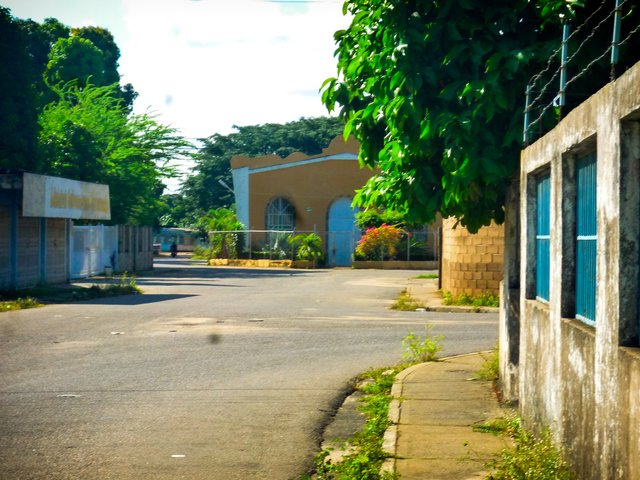 P1330278.jpg