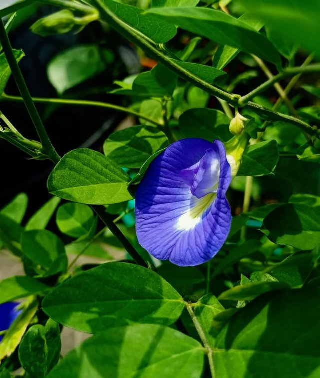IMG_20250824_201257.jpg