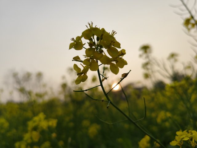 IMG_20250120_165029.jpg