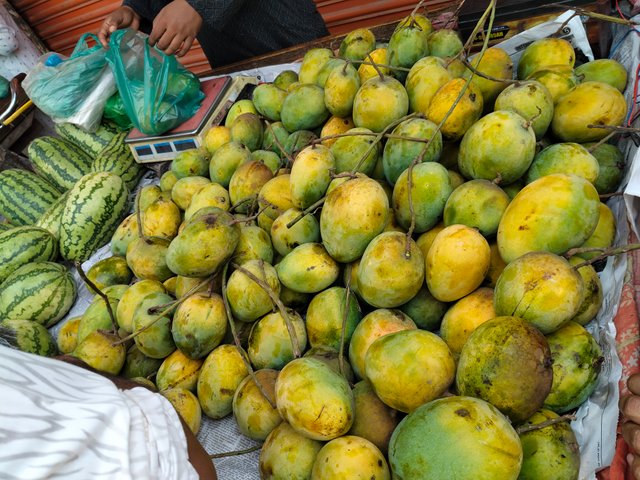IMG20250509135723.jpg