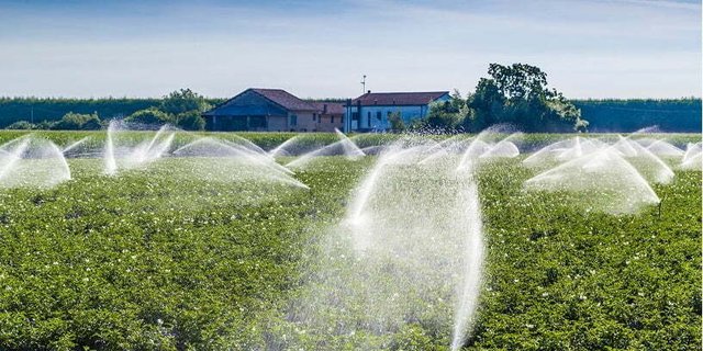 Irrigation-.jpg