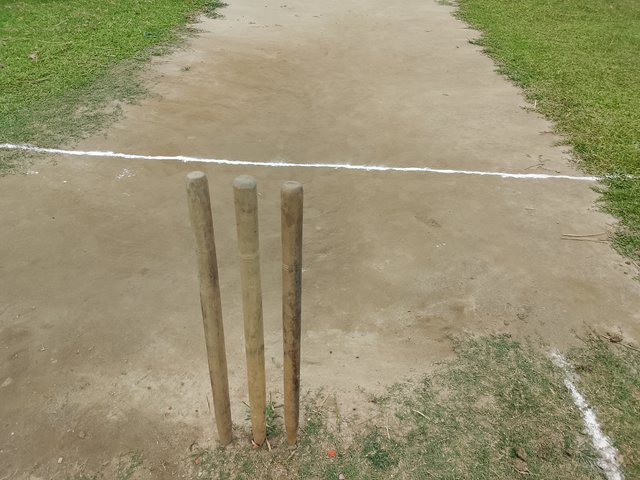 1000043795.jpg