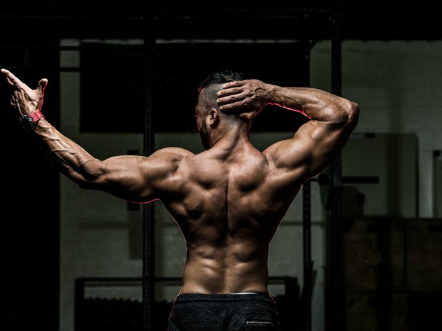 muscular-back-bodybuilder-1280.jpg