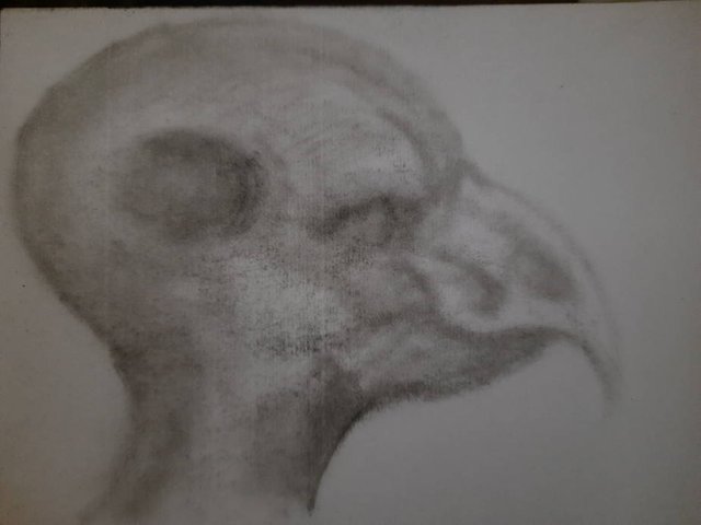 20250705_103846.jpg