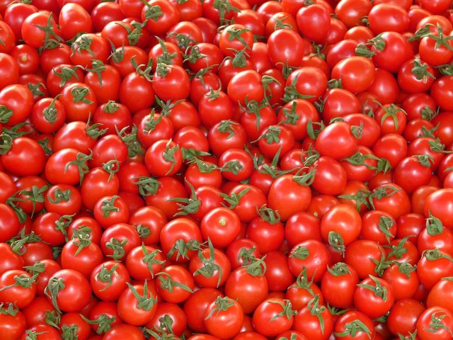 tomatoes-73913_1920.jpg
