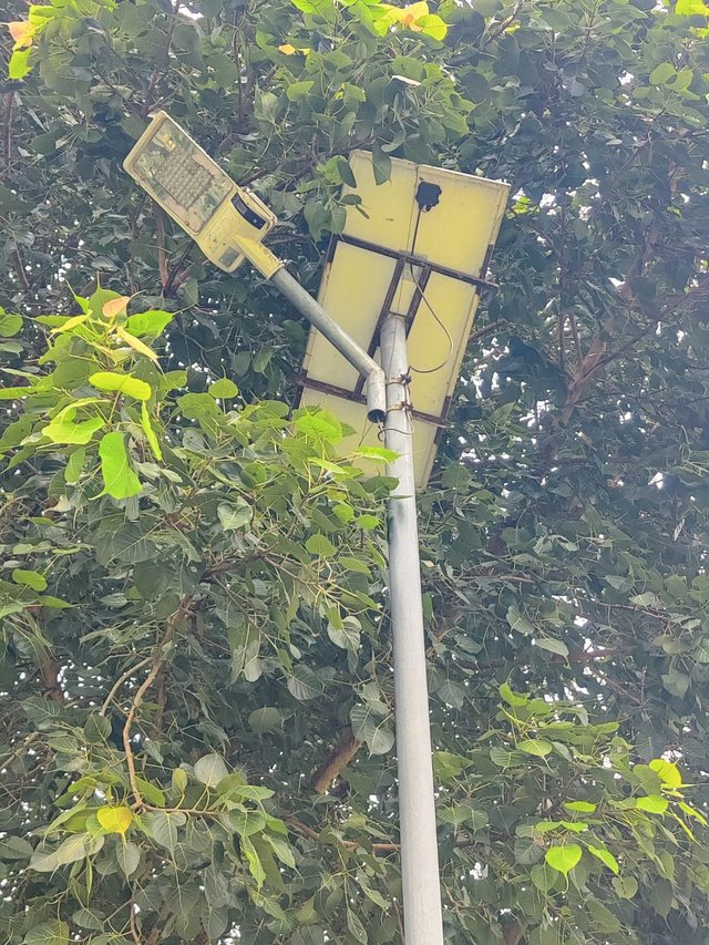 1000050416.jpg
