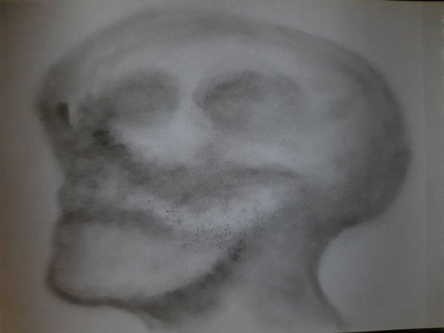 20251026_092218.jpg