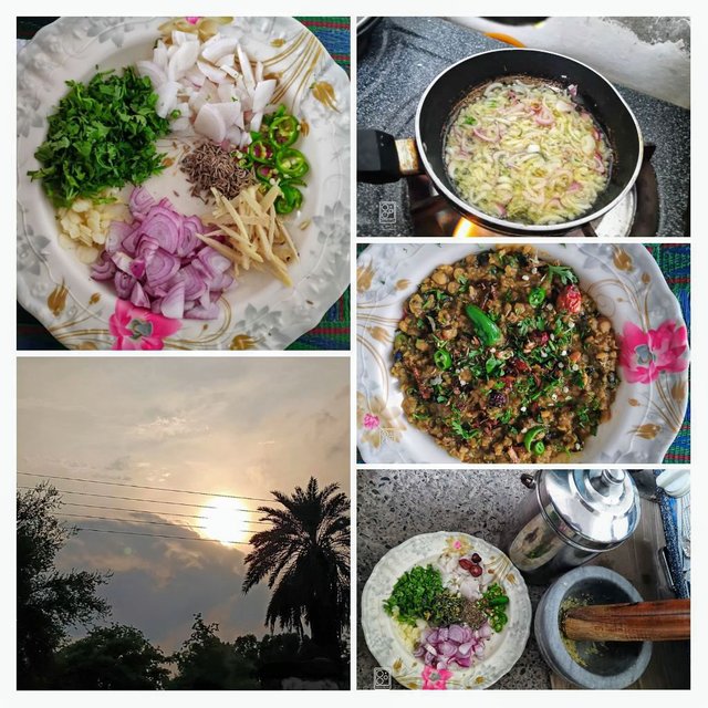 IMG_20240810_184102-COLLAGE~2.jpg