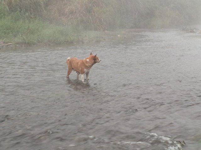 20240121_065552.jpg