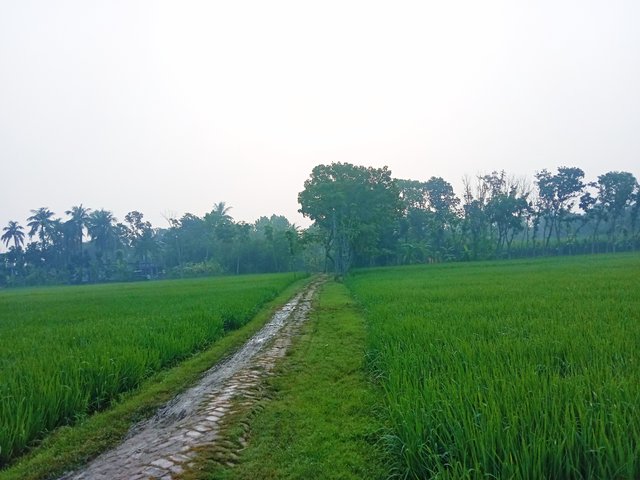 IMG_20250921_183500.jpg