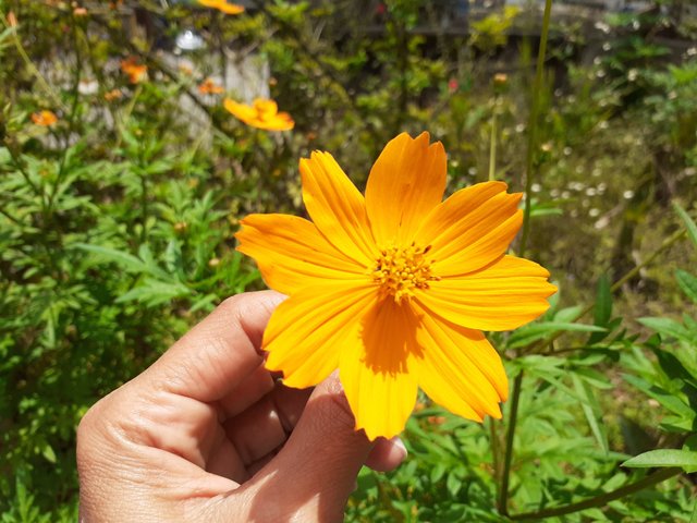 20250907_122837.jpg