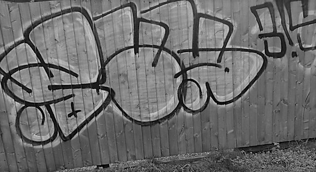 Street Photography, Dumpsite B&W Graffiti, Jan 26 2017.jpg