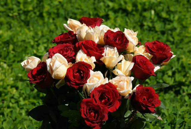 flowers-bundle-red-white-roses-wallpaper-flower-high-resolution-1600x1080.jpg