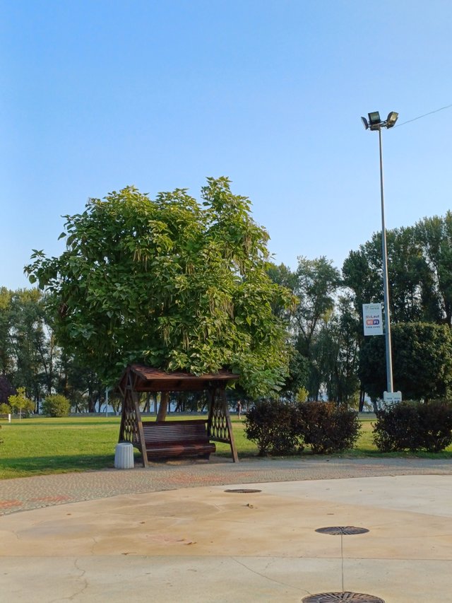 20250808_071254.jpg