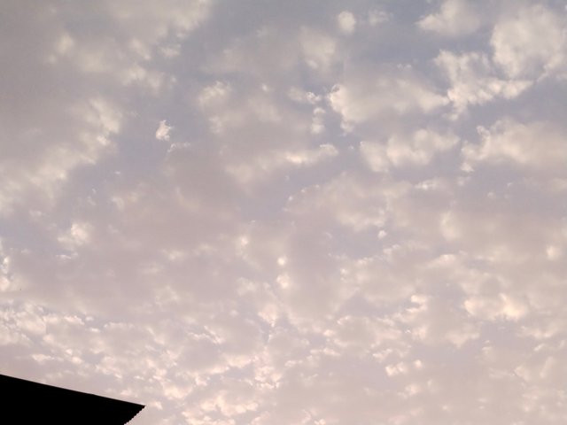 IMG_20250622_185817.jpg