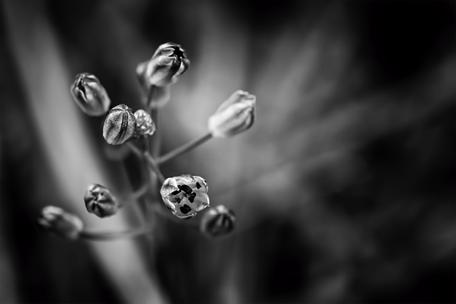 DSC_5123-ST.png