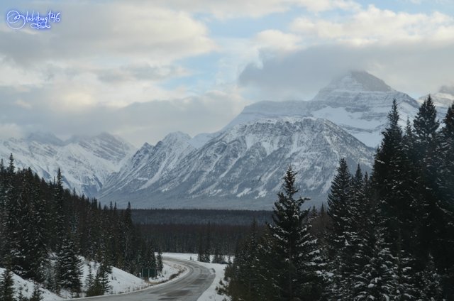 icefield parkway6.jpg