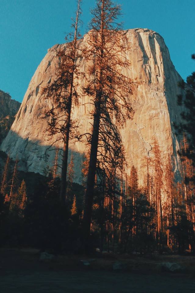 21558869_1903218179942055_2082442123634592665_n - Yosemite.jpg