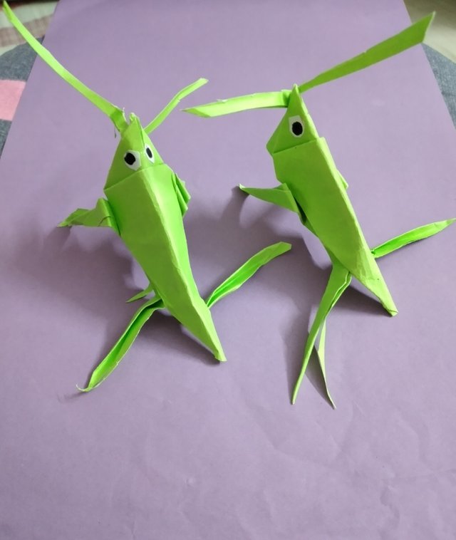 20250301_212659.jpg