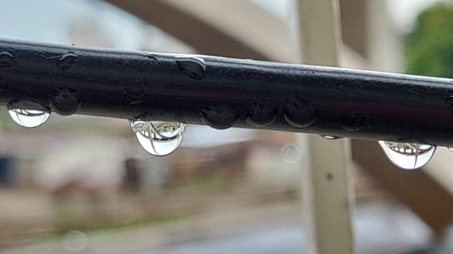 20250908_082742.jpg