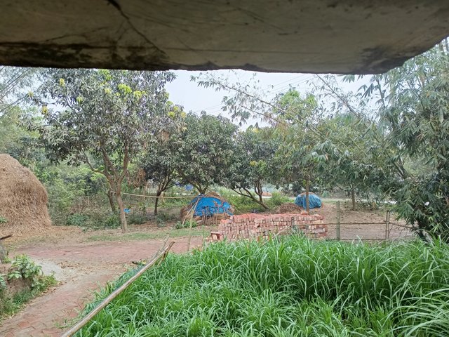 1000003803.jpg