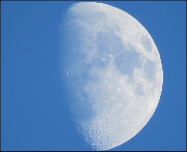 close up of half moon with blue background Feb 2nd or 3rd 2020.JPG