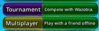 tournament and multiplayer.jpg