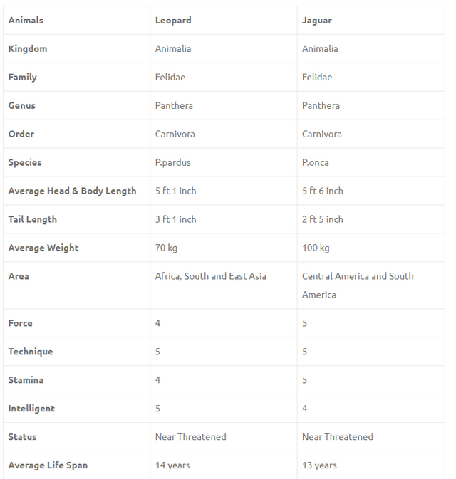 FireShot Capture 6 - Leopard vs Jaguar Fight Comparison_ - http___www.compareanimal.com_2014_0.png