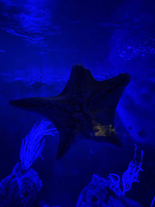 IMG_8194.jpeg