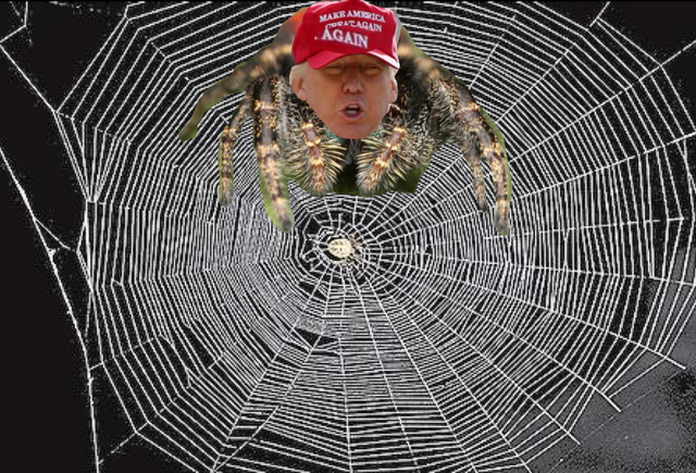 Trump's Web of Lies.png