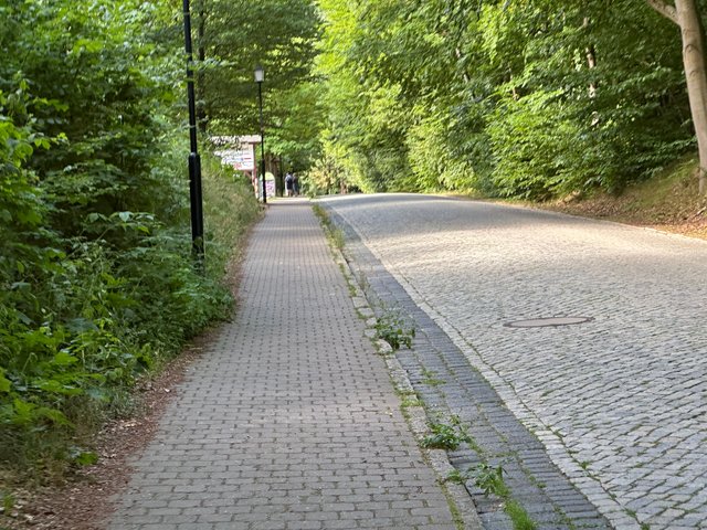 IMG_9874.jpeg